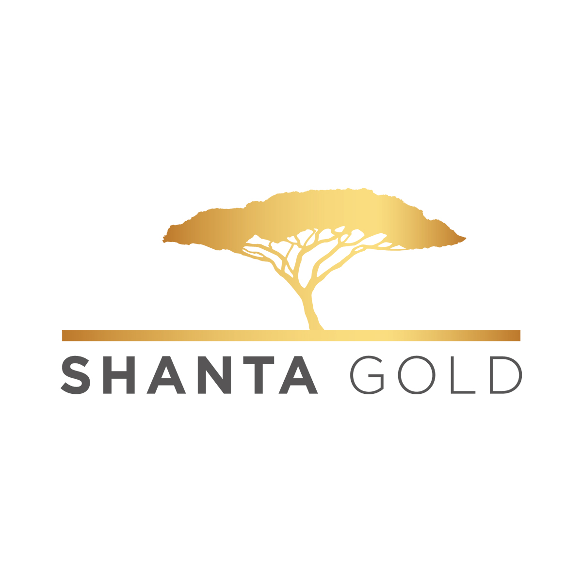 Shanta Gold